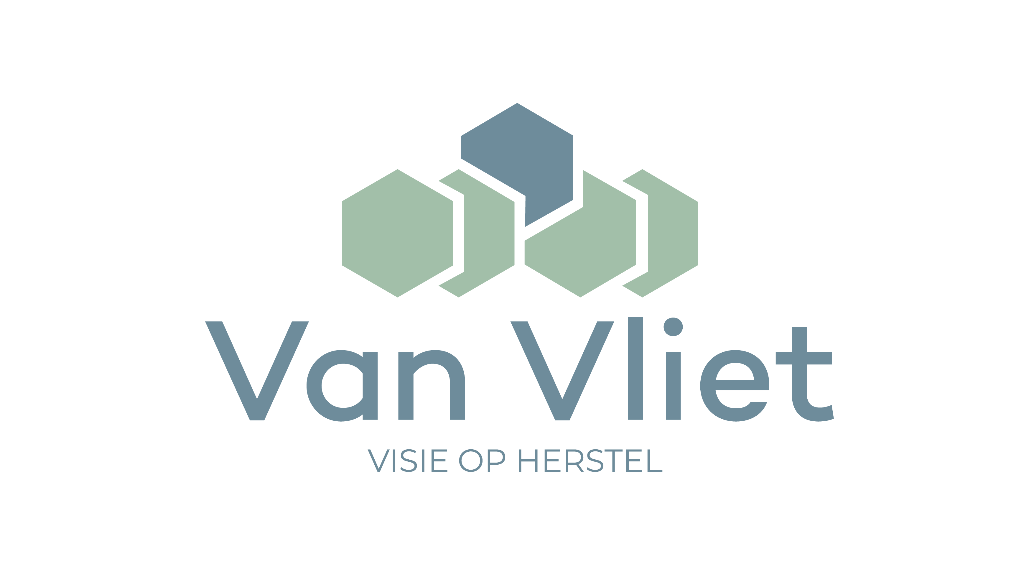 van-vliet-logo